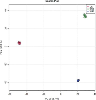 A metabolomic platform to identify and quantify polyphenols in coffee and related species using liquid chromatography mass spectrometry